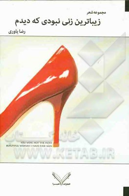 زیباترین زنی نبودی که دیدم: مجموعه شعر آزاد