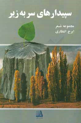 سپیدارهای سر‌به‌زیر