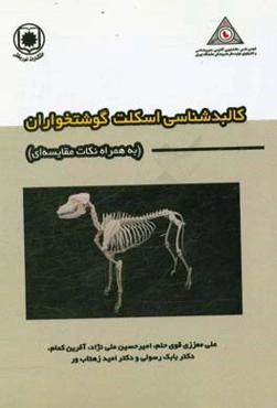 کالبدشناسی اسکلت گوشتخواران (به همراه نکات مقایسه‌ای)