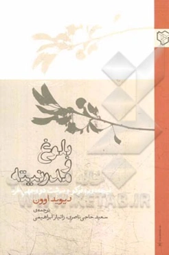 بلوغ و مدرنیته: نیچه، وبر، فوکو و سرشت دووجهی خرد