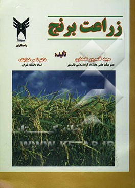 زراعت برنج
