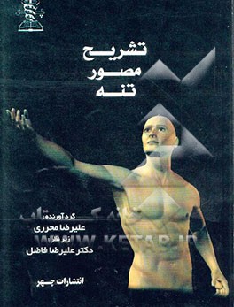 تشریح مصور تنه (برای دانشجویان پزشکی، مامایی و هوشبری)