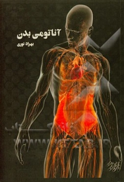 آناتومی بدن