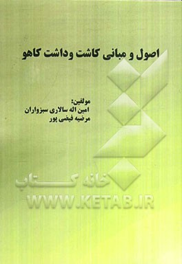 اصول و مبانی کاشت و داشت کاهو