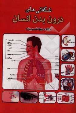 شگفتی‌های درون بدن انسان