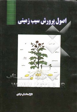 اصول پرورش سیب‌زمینی