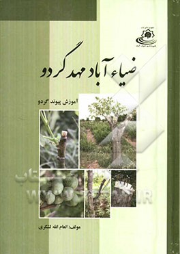 ضیاء‌آباد مهد گردو