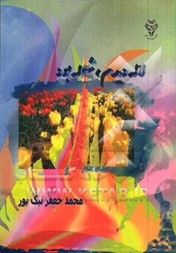 لاله دیدم، شعله بود