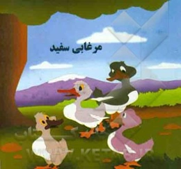 مرغابی سفید