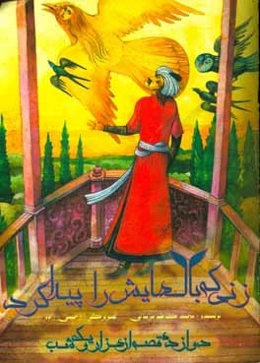 زنی که بال‌هایش را پیدا کرد