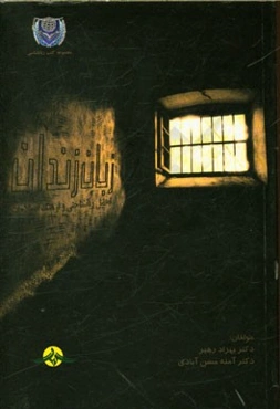 زبان زندان: تحلیل زبانشناختی و فرهنگ اصطلاحات