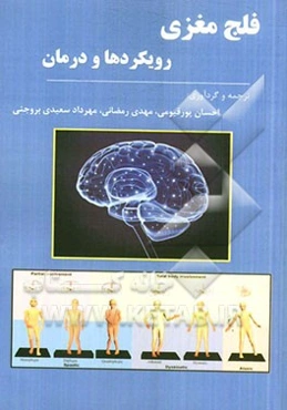 فلج مغزی: رویکردها و درمان
