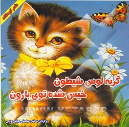 گربه لوس شیطون خیس شده زیر بارون