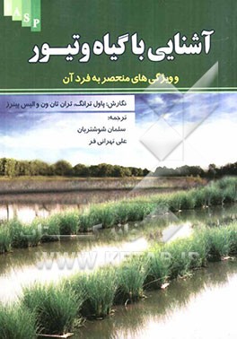 آشنایی با گیاه و تیور و ویژگی‌های منحصر بفرد آن