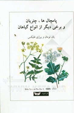 پامچال‌ها، چتریان و برخی دیگر از انواع گیاهان