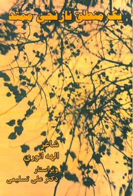 یک منطق نارنجی ممتد ...