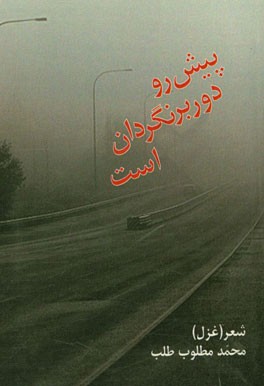 پیش‌ رو دوربرنگردان است