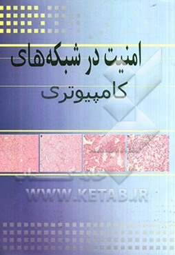 امنیت در شبکه‌های کامپیوتری