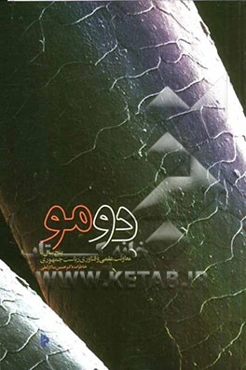 دومو: پنج سال با معاونت علمی و فناوری ریاست جمهوری خاطرات دکتر حسین سالار آملی