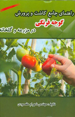 راهنمای جامع کاشت و پرورش گوجه فرنگی در مزرعه و گلخانه