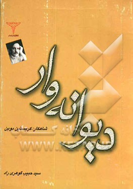 دیوانه‌وار
