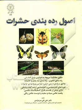 اصول رده‌بندی حشرات