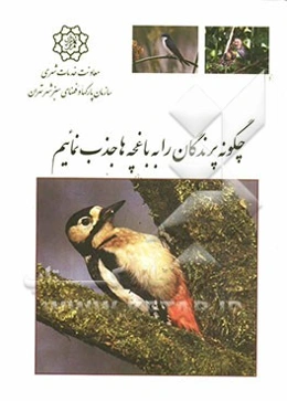 چگونه پرندگان را به باغچه‌ها جذب نمائیم