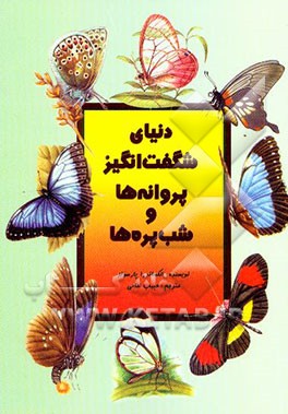دنیای شگفت‌انگیز پروانه‌ها و شب‌پره‌ها
