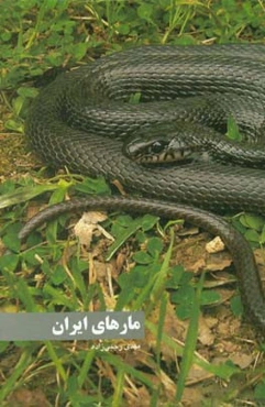 مارهای ایران