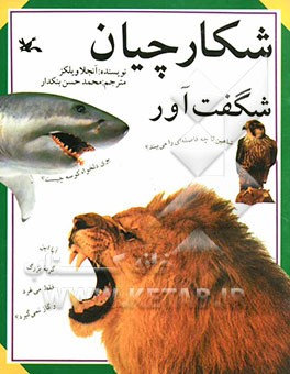 شکارچیان شگفت‌آور