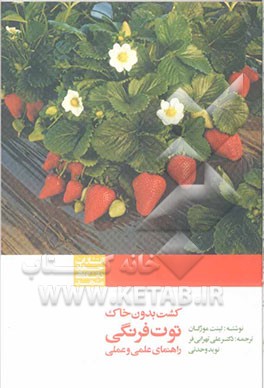 کشت بدون خاک توت‌فرنگی: راهنمای علمی و عملی