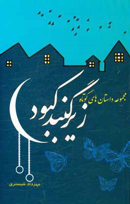 زیر گنبد کبود