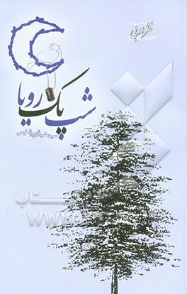 شب یک رویا: نثر ادبی
