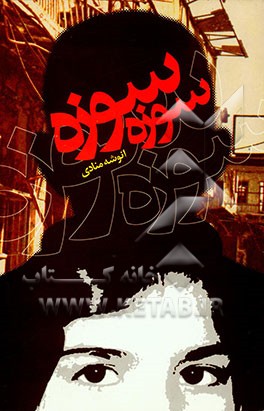 سوزه سوزه (رمان