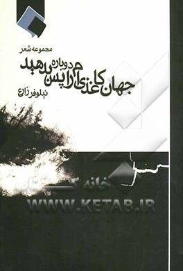 جهان کاغذی‌ام را دوباره پس بدهید (مجموعه شعر)