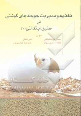 تغذیه و مدیریت جوجه‌های گوشتی در سنین ابتدایی (1
