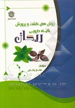 روش‌های کشت و پرورش گیاه دارویی ریحان