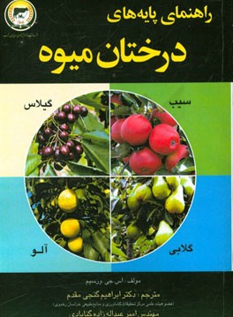 راهنمای پایه‌های درختان میوه: سیب، گلابی، گیلاس و آلو