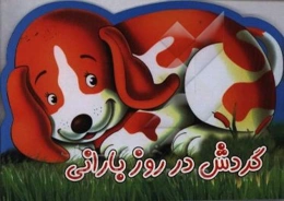 گردش در روز بارانی