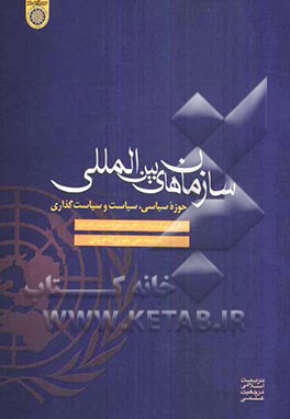 سازمان‌های بین‌المللی: حوزه سیاسی، سیاست، سیاست‌گذاری