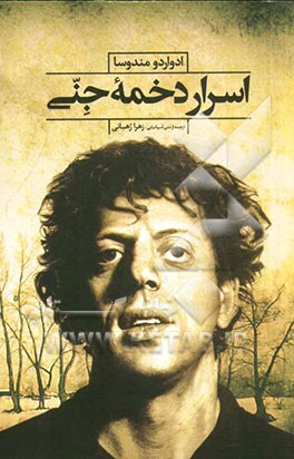 اسرار دخمه‌ی جنی (رمان اسپانیایی)