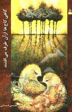 گاهی کاج‌ها از آن طرف می‌افتند