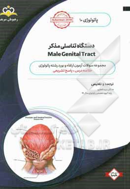 پاتولوژی: دستگاه تناسلی مذکر = Male genital tract: خلاصه درس به همراه مجموعه سوالات آزمون ارتقاء و بورد پاتولوژی با پاسخ تشریحی ...