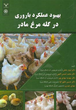 بهبود عملکرد باروری در گله مرغ مادر