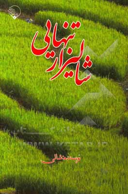 شالیزار تنهایی