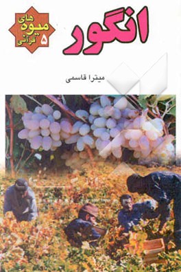 انگور: میوه‌های قرآنی