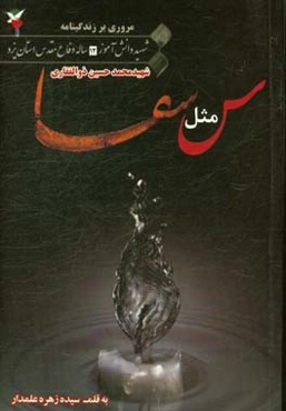 س مثل سقا: مروری بر زندگینامه شهید محمدحسین ذوالفقاری