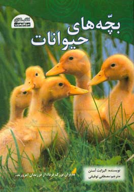 بچه‌های حیوانات