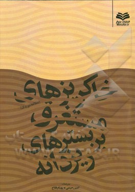 خاکریزهای مستغرق بر بسترهای ریزدانه (مطالعه موردی)