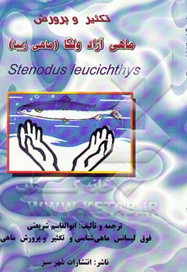 تکثیر و پرورش ماهی آزاد ولگا (ماهی زیبا